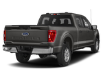 2023 Ford F-150 XLT SPORT