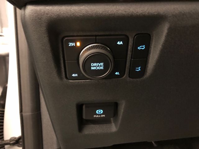 2025 Ford Expedition Max Active 202A/ROOF