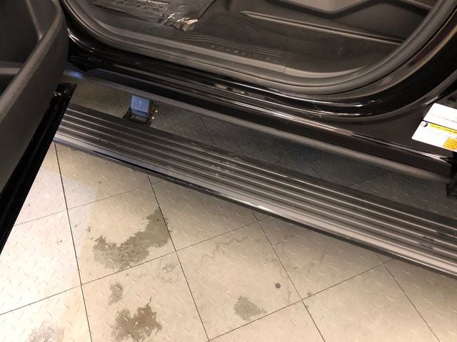 2025 Ford Expedition Max Platinum ROOF