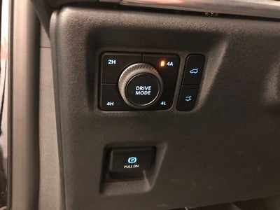 2025 Ford Expedition Max Platinum ROOF
