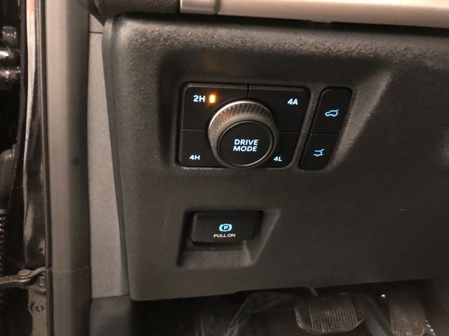 2025 Ford Expedition Active 202A/ROOF