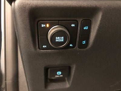 2025 Ford Expedition Active 202A/ROOF/BUCKETS