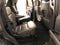 2025 Ford Expedition Active 202A/ROOF/BUCKETS