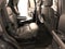 2025 Ford Expedition Active 202A/ROOF