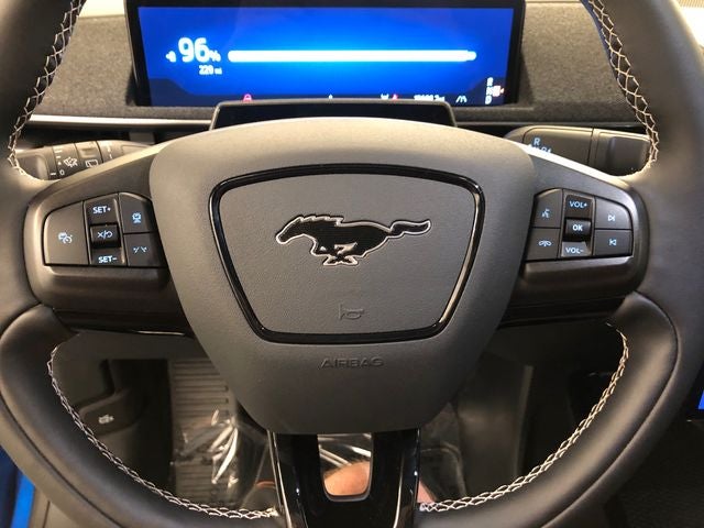 2025 Ford Mustang Mach-E GT PERFORMANCE PACKAGE/ROOF