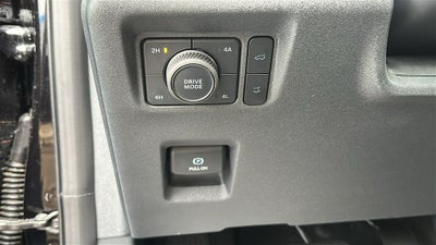 2025 Ford Expedition Active 202A/Panoramic Roof