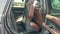 2024 Ford Expedition Limited 302A/Panoramic Roof